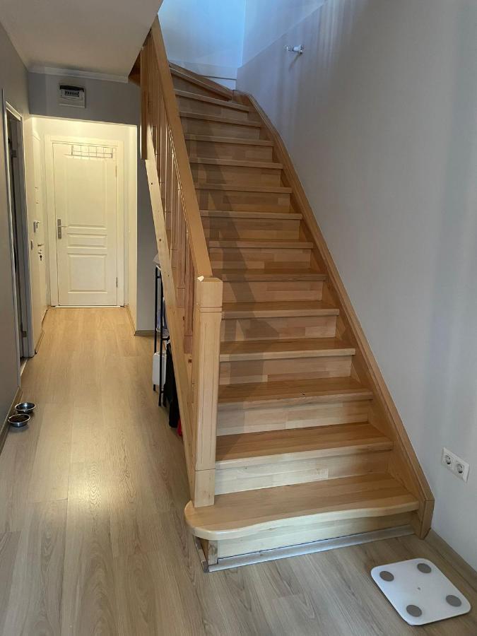 Duplex With Terrace In Center,5Mn Walk To Istiklal Apartment อิสตันบูล ภายนอก รูปภาพ